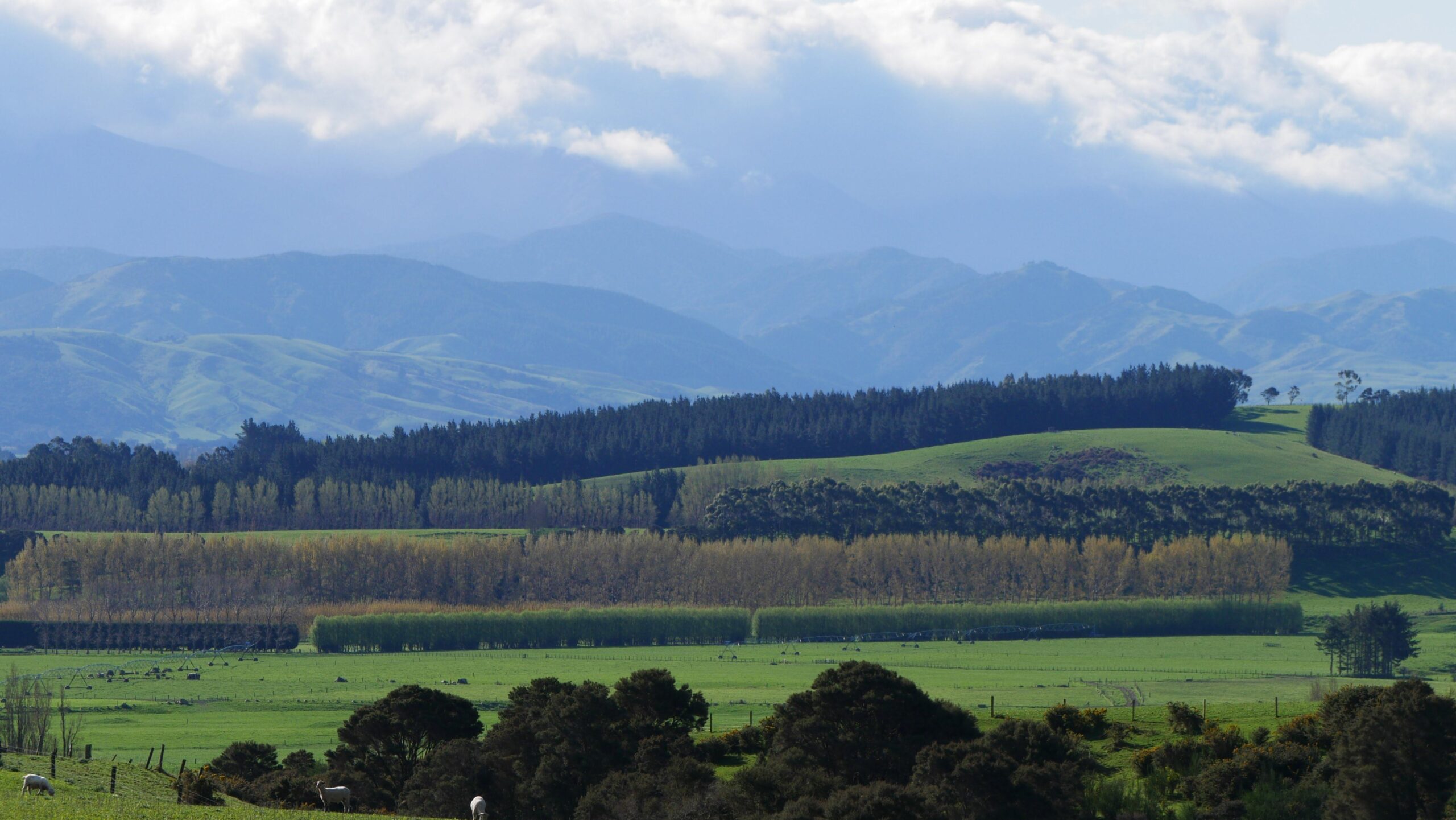 Wairarapa Tours