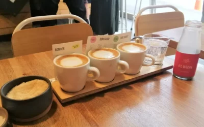 Coffee Haven: 9 Spots to enjoy Top coffee in Wellington, New Zealand